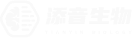 logo2